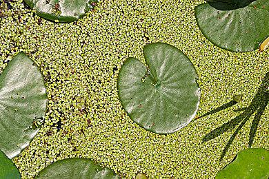 网易高层发声 网易暴雪分手疑有大瓜